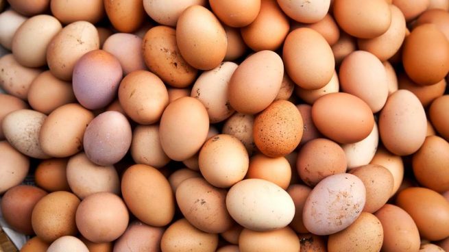 huevo o la gallina