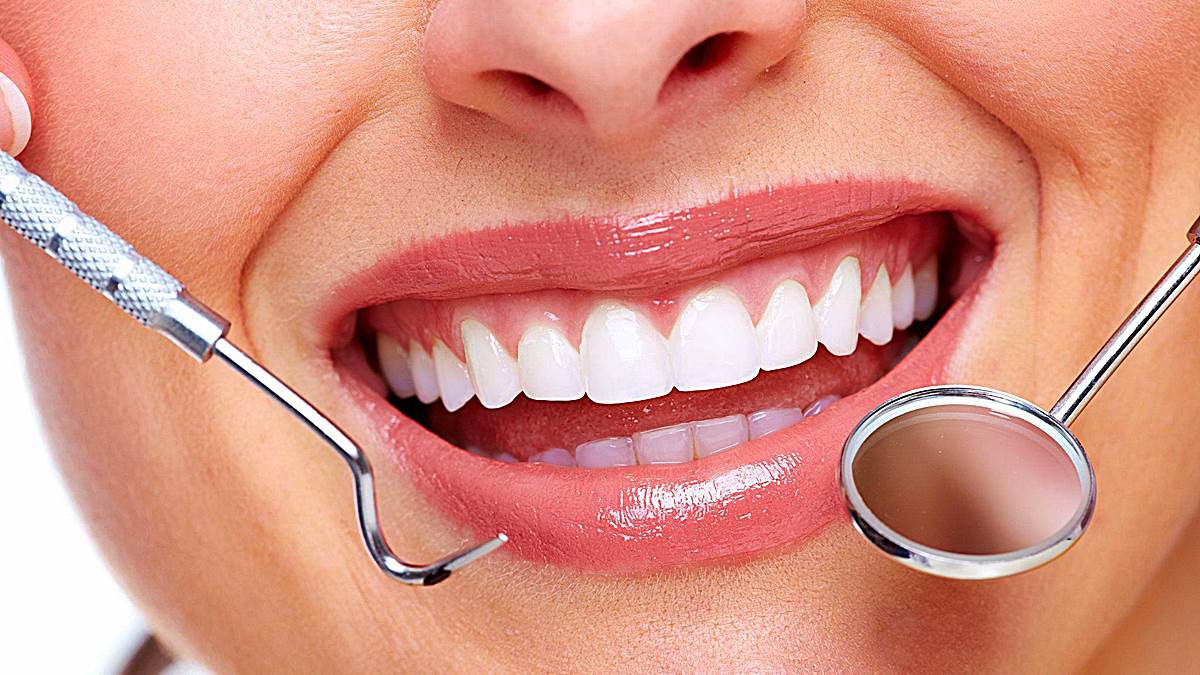 ¿Cómo funcionan los dientes?