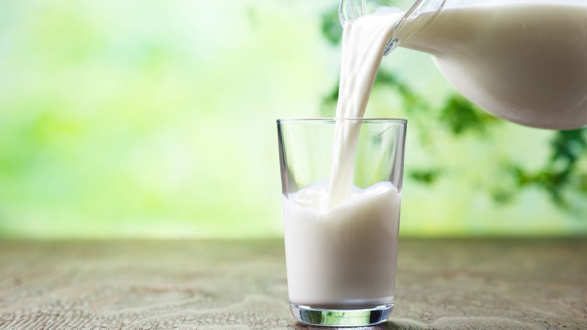 La leche de almendras seguirá siendo «leche»