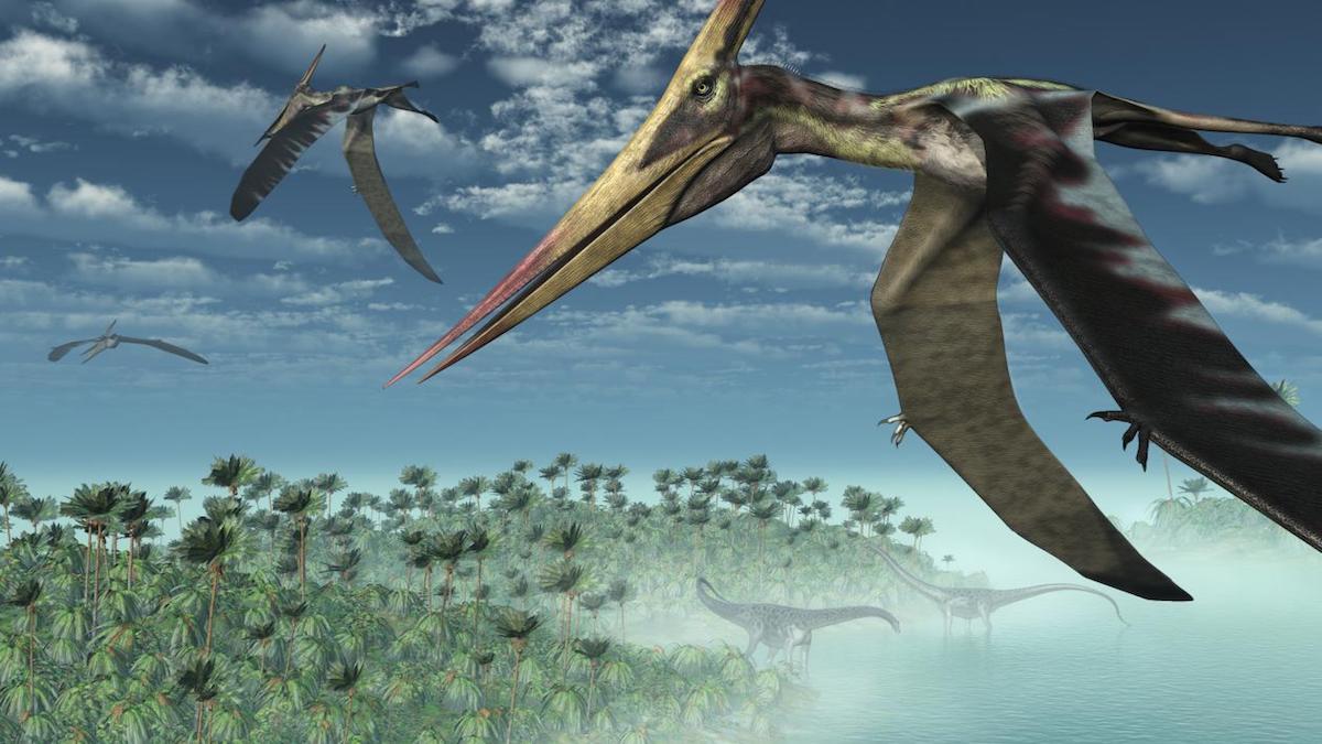 Dinosaurios voladores
