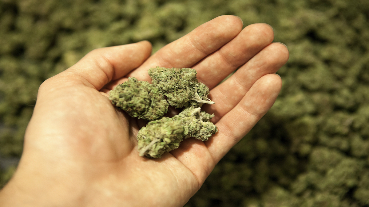 Marihuana, tercera droga más consumida