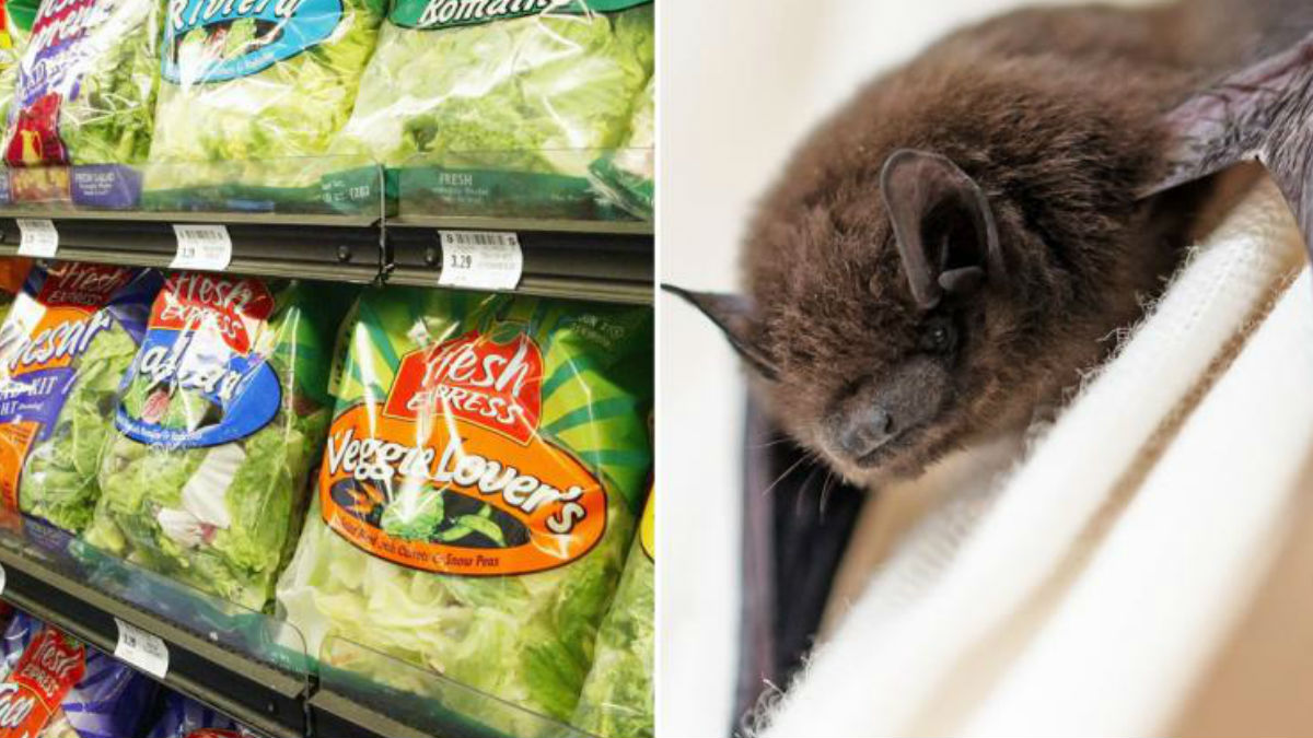 Un expositor de la cadena de supermercados Walmart donde se exponen distintas ensaladas envasadas de la marca en la que se han descubierto murciélagos muertos.