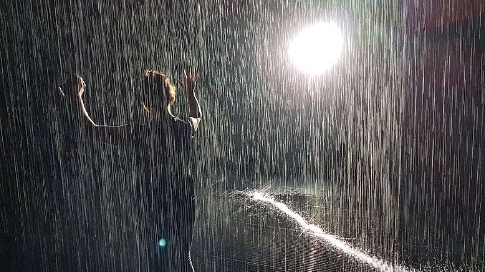 Descubre por qué la lluvia huele tan bien