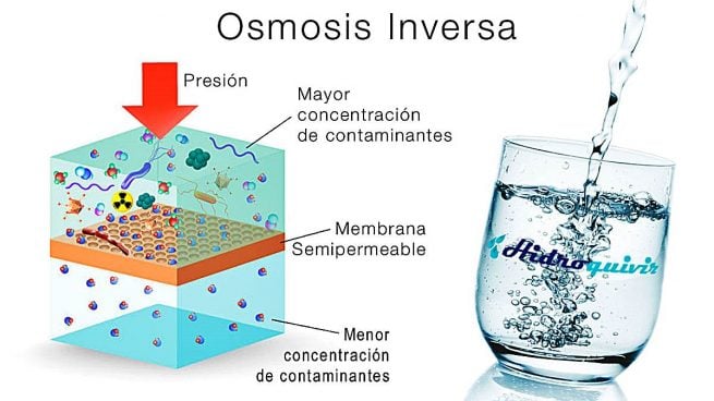 ¿Qué Es La ósmosis?