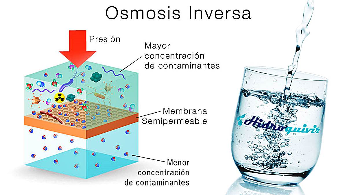 ¿Qué Es La ósmosis?