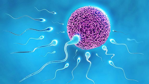 5 Curiosidades Sobre El Semen Y Los Espermatozoides