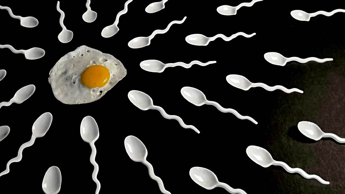 5 Curiosidades Sobre El Semen Y Los Espermatozoides