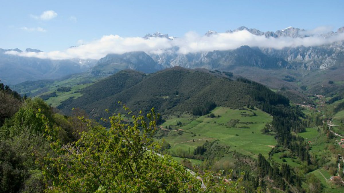 Vista del Parque Nacional de los Picos de Europa (Foto:Turismo Cantabria)