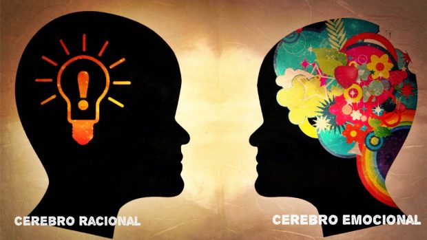 Diferencias Entre El Cerebro Del Hombre Y De La Mujer Esta Diferencia