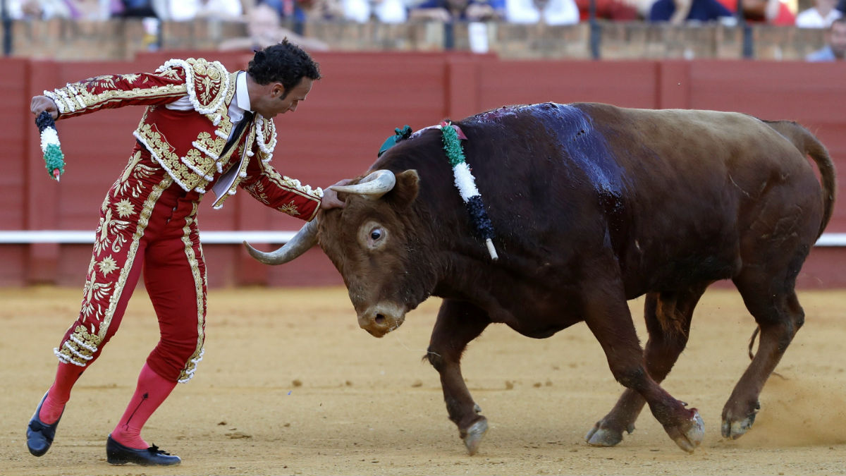 Antonio Ferrera toca la cabeza del toro, este sábado en Sevilla (Foto: Efe).