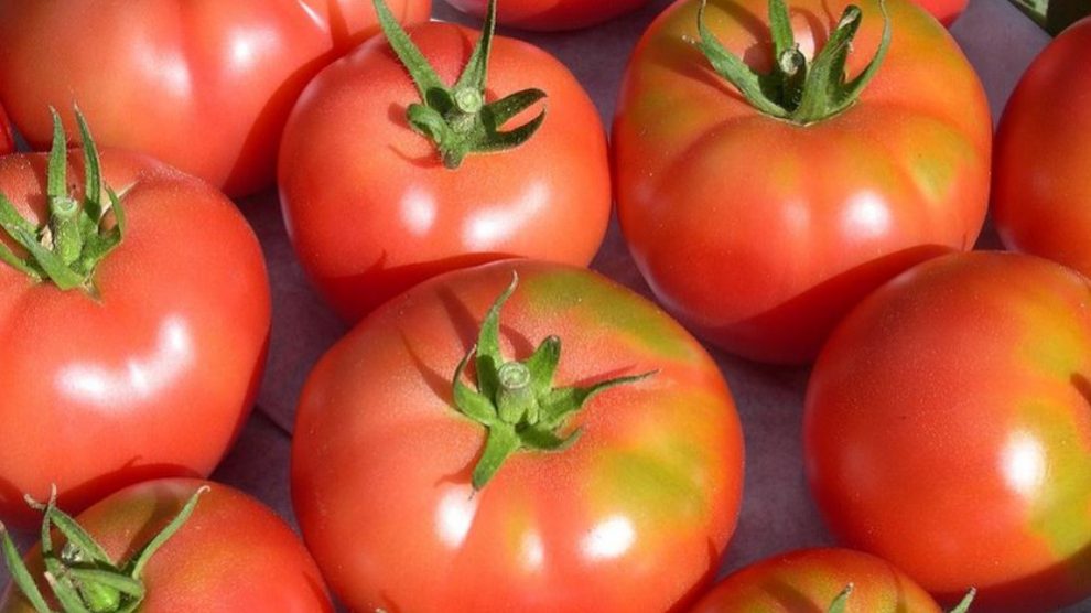 El tomate: ¿Es una fruta o una verdura?