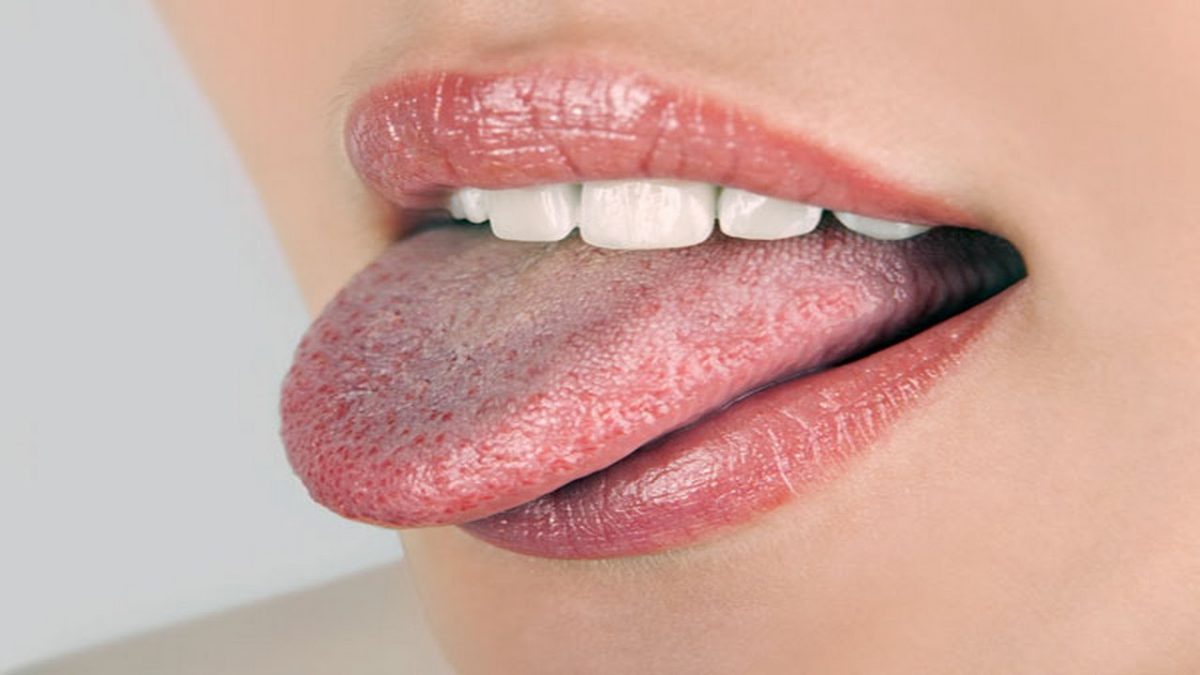 Resultado de imagen para El mÃºsculo mÃ¡s potente del cuerpo humano es la lengua