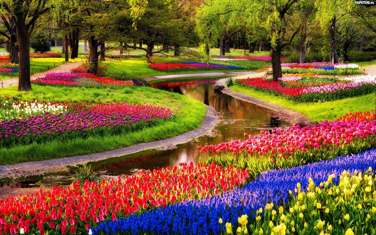 5 lugares donde disfrutar de los tulipanes en todo su esplendor.