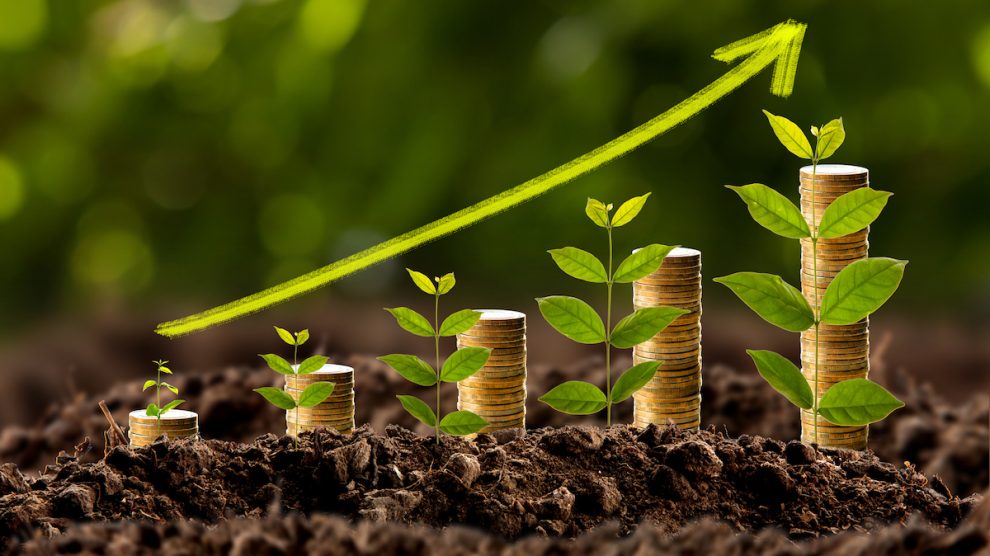 Crecimiento de los ahorros