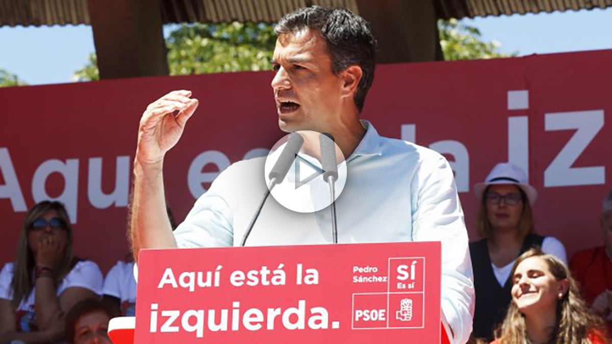 pedro-sanchez-655×368 copia