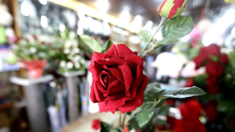 Las rosas son una tradición de Sant Jordi. (Foto: EFE)