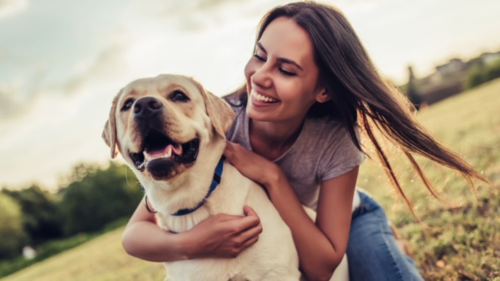 Cómo educar a un perro