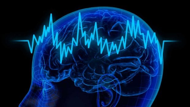 neuronas del cerebro