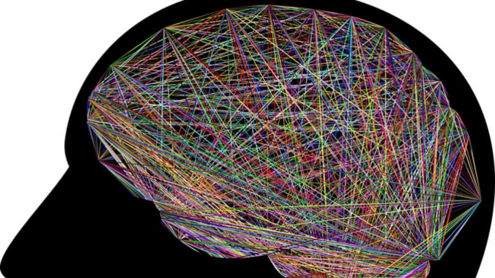 Descubre cómo las neuronas del cerebro crean figuras geométricas cuando tomamos decisiones