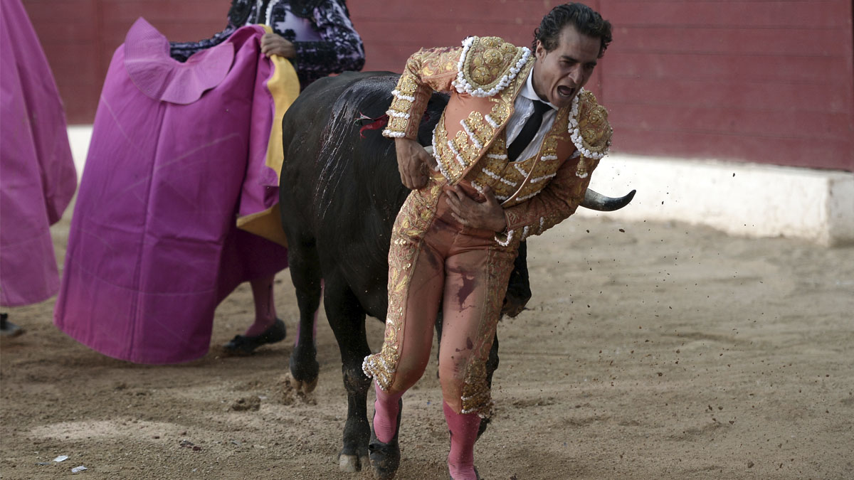 El toreo Iván Fandiño sufre una cornada durante una corrida de toros en Francia (AFP)