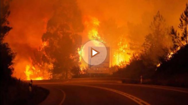 Al menos 64 muertos y decenas de heridos en un incendio forestal en Portugal
