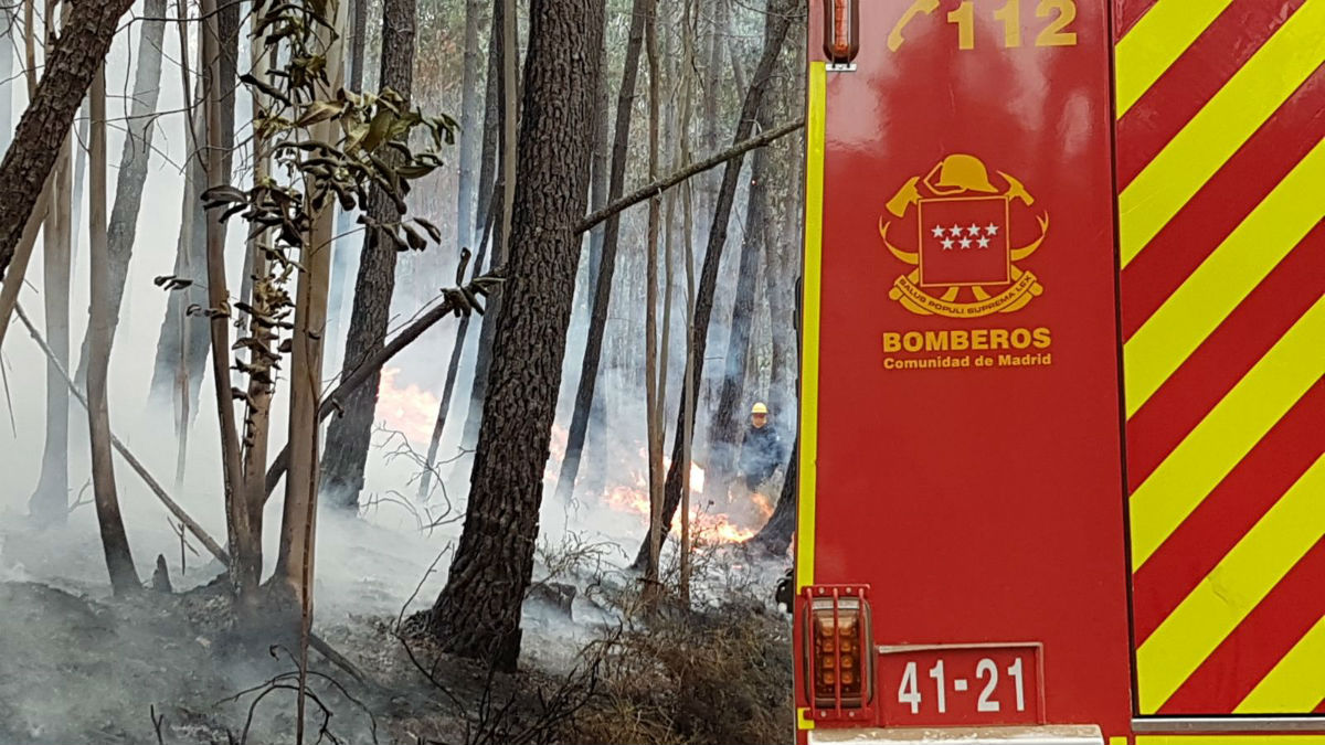 Bomberos de la CAM en Portugal. (OKDIARIO)