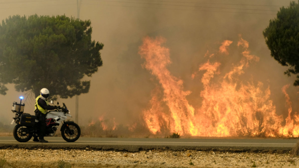 Incendio en Moguer, que arrasó más de 6.000 hectáreas de de Doñana (Foto: EFE).