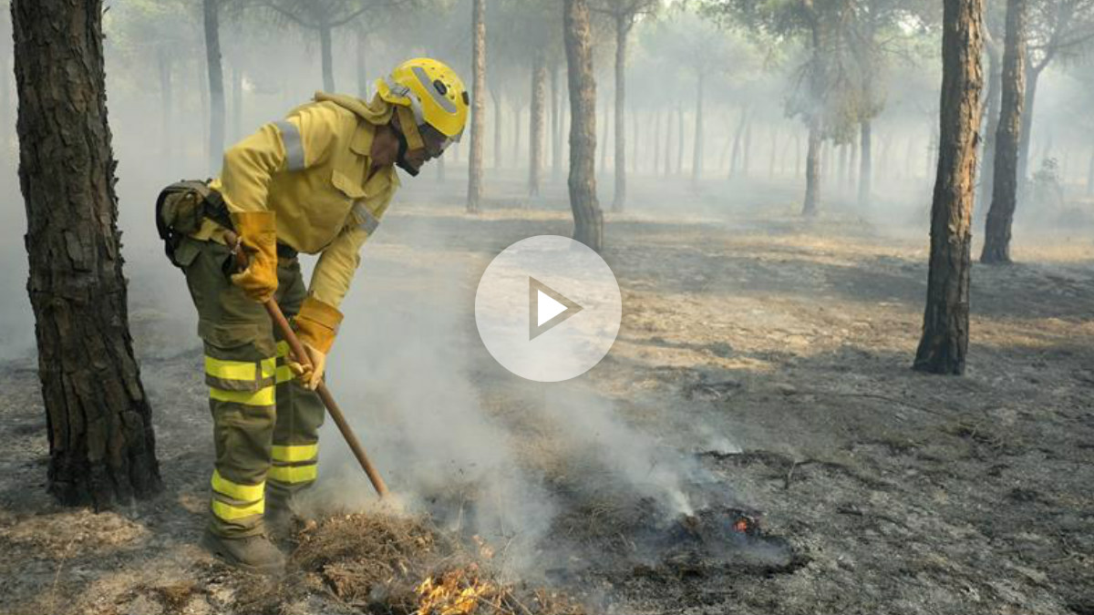 Un bombero realizando labores de extinción del fuego declarado en Moguer. Foto: EFE