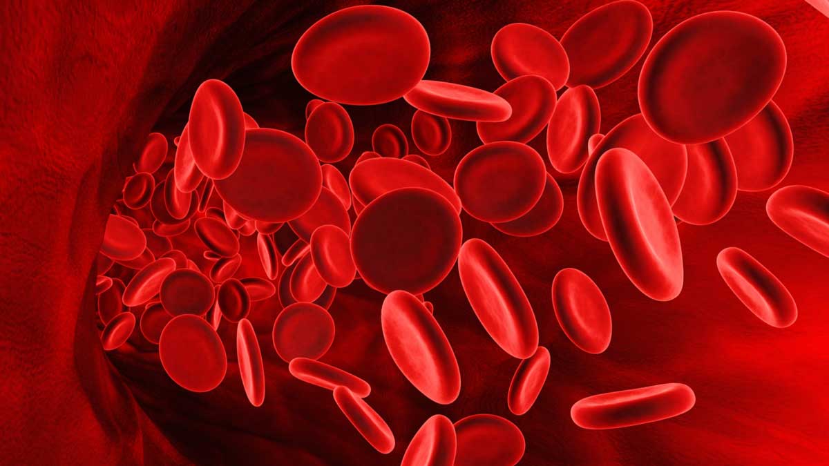 ¿Existen glóbulos rojos inteligentes?
