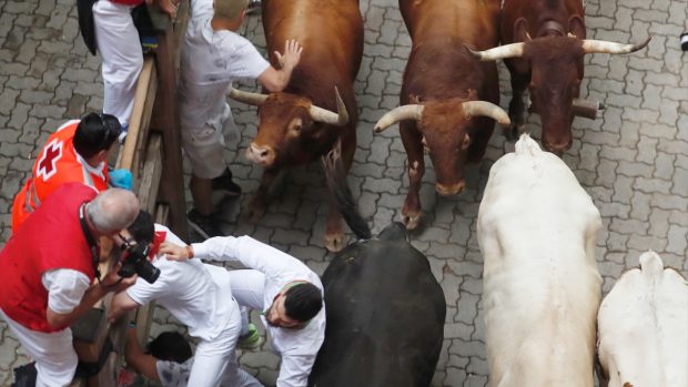 Los toros de Jandilla en el quinto encierro de los Sanfermines de 2017