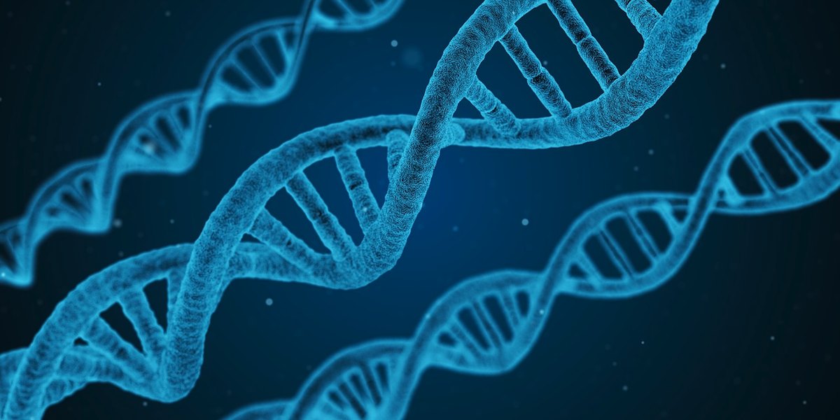 ADN como sistema de almacenamiento