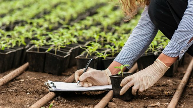 España es el país de Europa con mayor producción ecológica plantada y uno de los 5 mayores del mundo