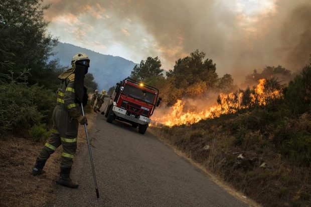 Un brigadista trabaja en el incendio registrado esta tarde en el ayuntamiento orensano de Monterrei, en la parroquia de Infesta, cuya superficie afectada supera las veinte hectáreas. Foto: EFE