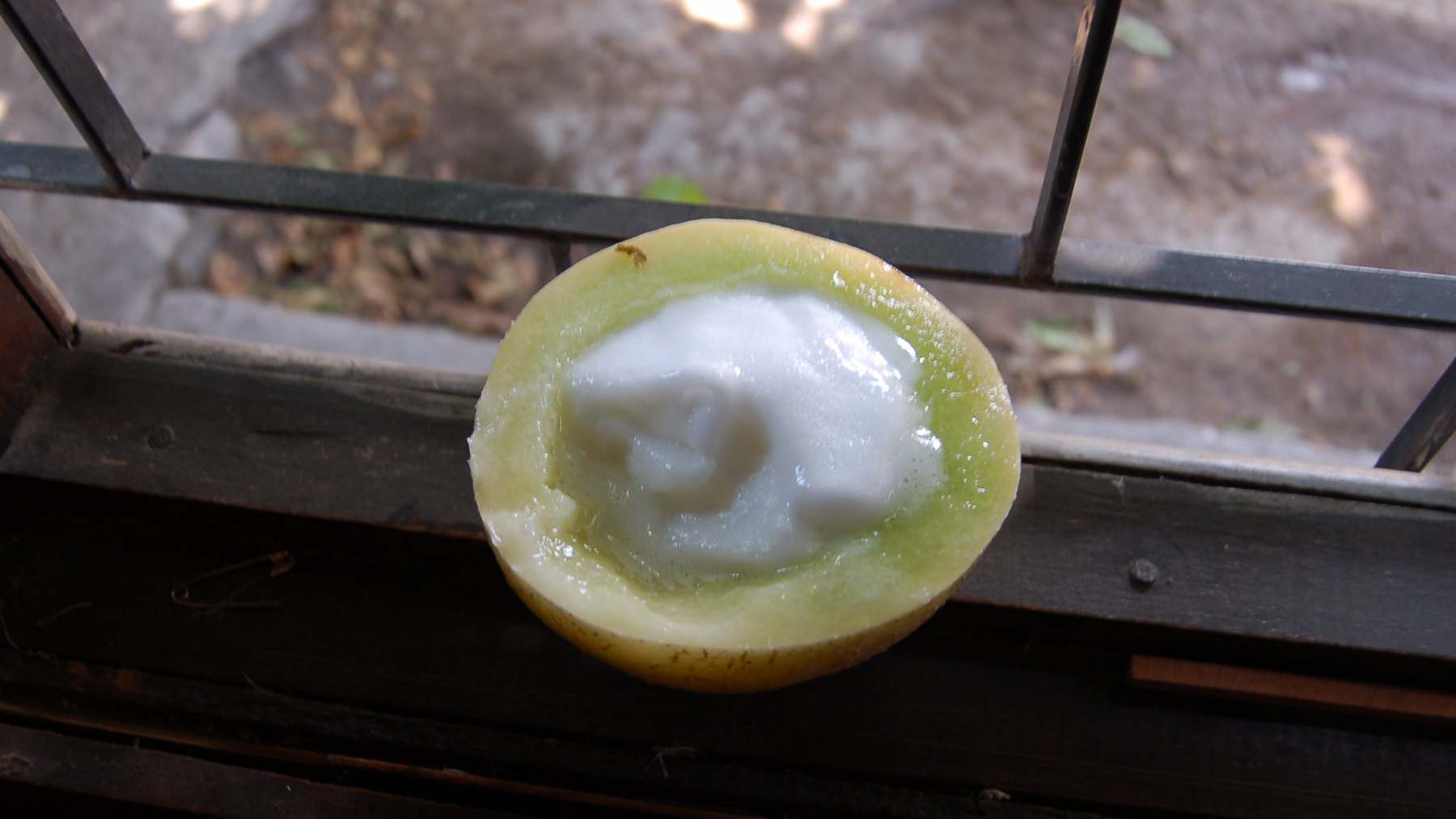 Granizado de melón