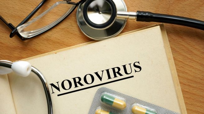 virus de vomito diarrea virus de vomito diarrea
