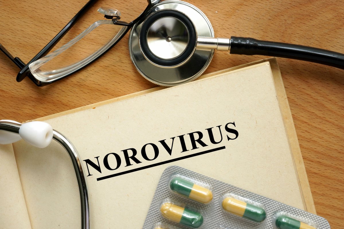 Virus estomacal