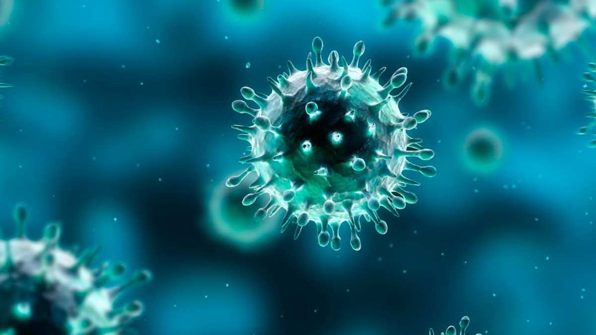 ¿Qué es un virus? Características y estructura de los virus