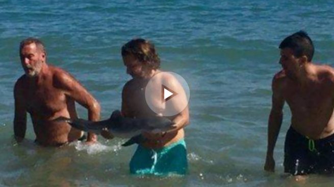 Los turistas curiosos acaban con la vida de una cría de delfín varada en una playa de Almería