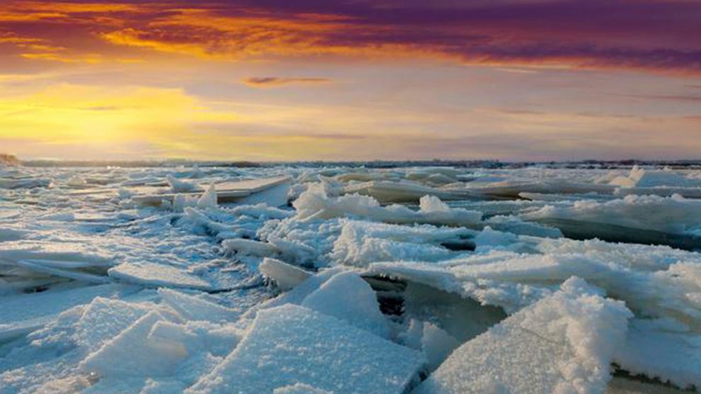 Tundra: Características Del Clima, Flora Y Fauna De La Tundra