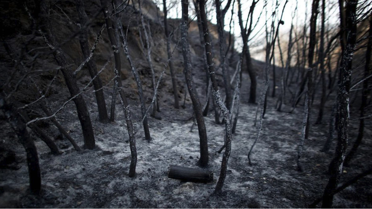 Así ha quedado gran parte del Parque Natural de los Arribes del Duero tras el paso del incendio.
