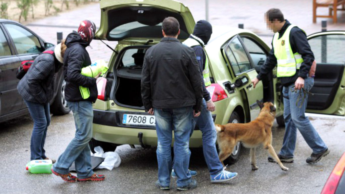 La Unidad Canina de los Mossos busca drogas y explosivos en el interior de un vehículo.