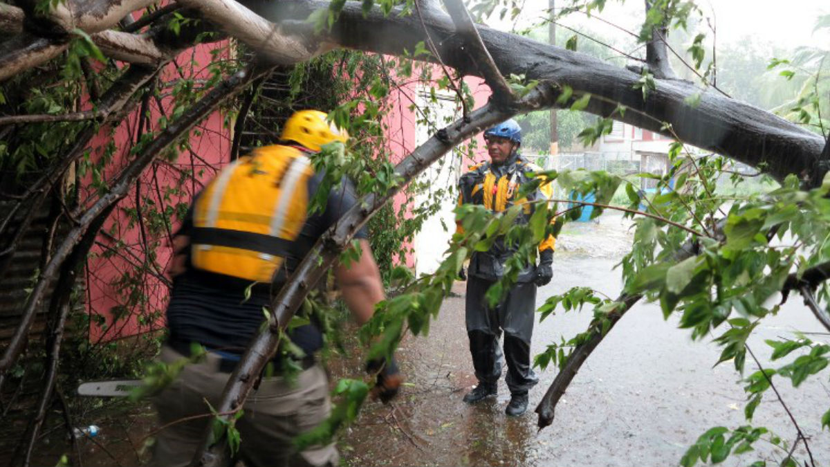 Unos operarios tratan de sacar un árbol caído en una carretera de Puerto Rico tras el paso del huracán Irma. Foto. AFP
