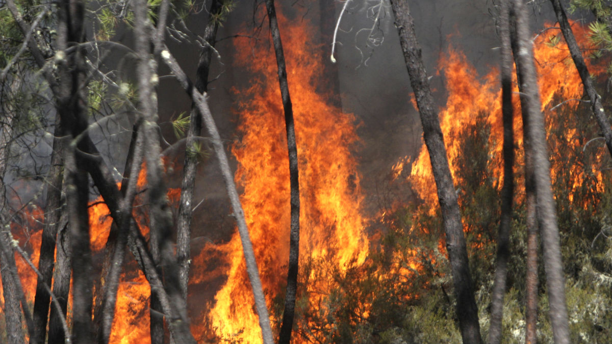 Imagen de un reciente incendio forestal en Huelva (Foto: Efe).