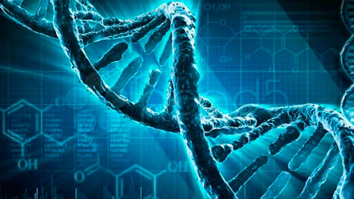 una de las investigaciones más curiosas de los últimos años.