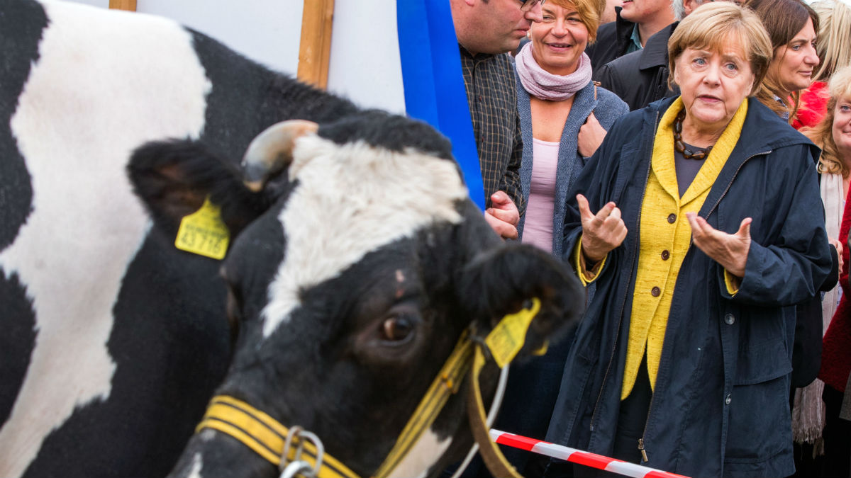 Angela Merkel, cerrando campaña en la isla báltica de Lauterbach. (AFP)
