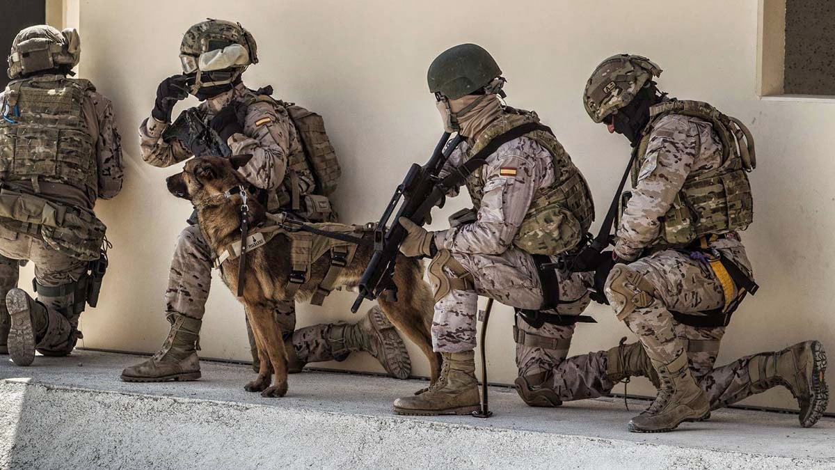 militares