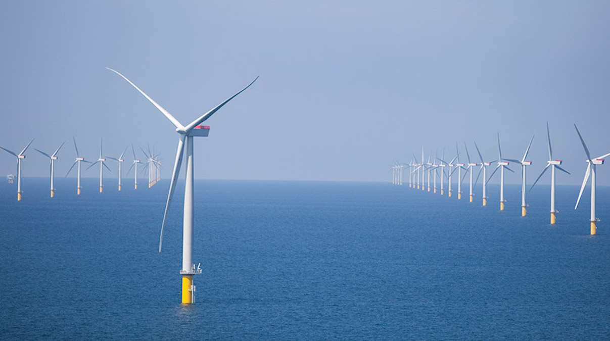 Parque eólico de East Anglia (Foto: Iberdrola)