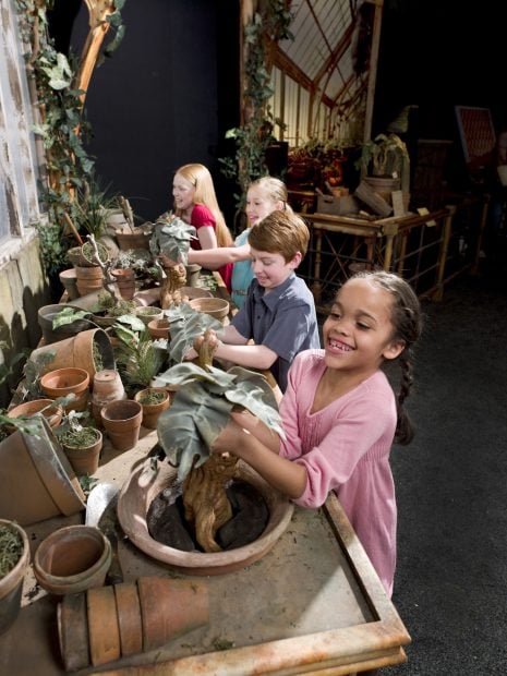 Fans sacando mandrágoras Harry Potter The Exhibition