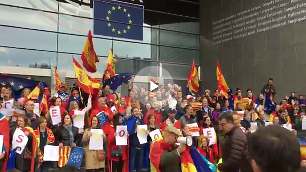 Españoles en Bruselas se manifiestan a favor de la Constitución ante el Parlamento europeo.