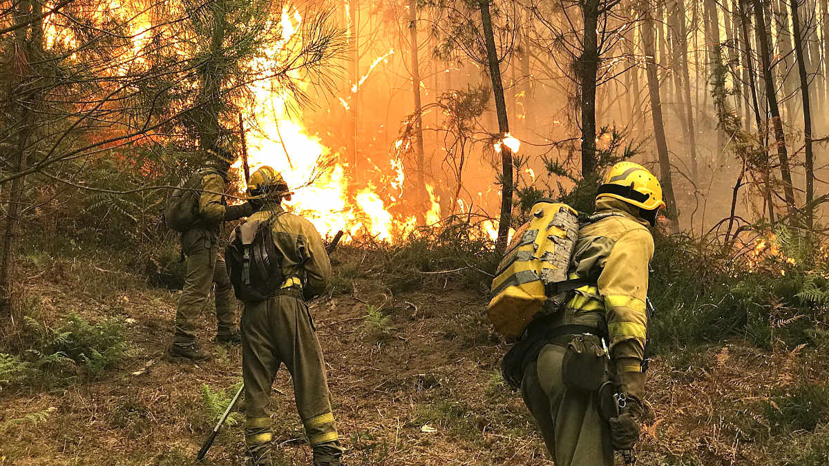 Bomberos en un incendio forestal (Foto: Efe).